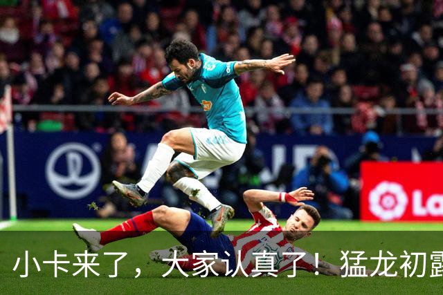 小卡来了，大家认真了！猛龙初露锋芒，三大数据印证东部霸主崛起