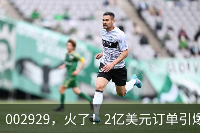 002929，火了！2亿美元订单引爆三连板，两家机构“快进快出”